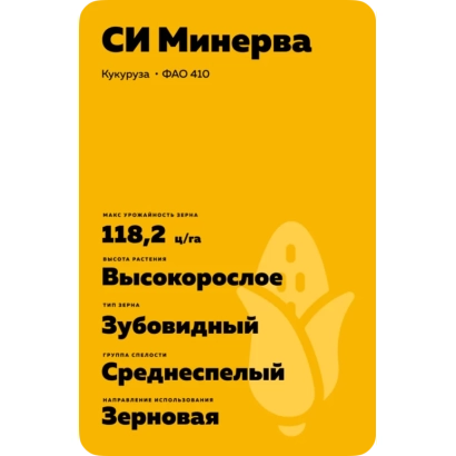 Пакет насіння кукурудзи СИ Мінерва, сорт 940-410 - ВІТРАЖ МВ