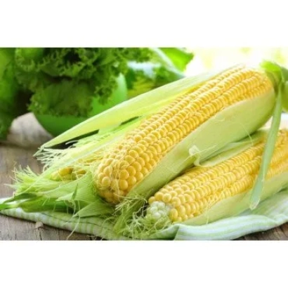 Свежая кукуруза в шелухе на деревянной поверхности - Визави