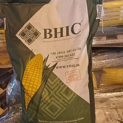 Мешок с семенами кукурузы BHIC - ВН 2007