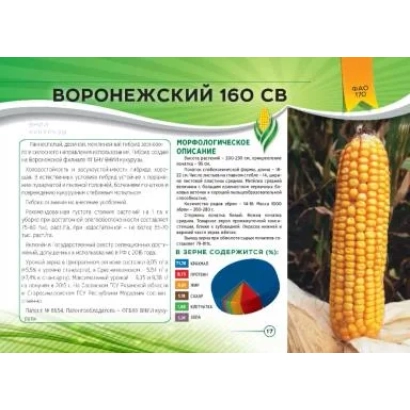Пакет семян кукурузы ВОРОНЕЖСКИЙ 160 СВ