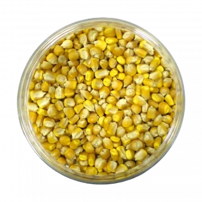 Corn kernels in a transparent container - VORONEZH 182 MV