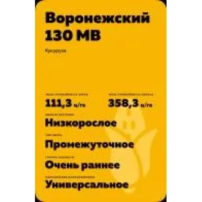 Семена кукурузы Воронежский 130 МВ на желтом фоне