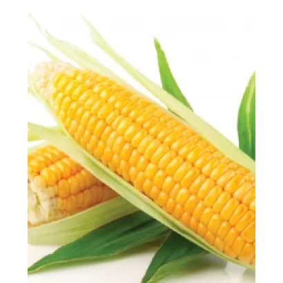 Свежая кукуруза в шелухе - Йоги КС