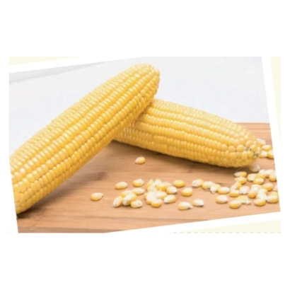 Два початка кукурузы и зерна на деревянной поверхности - З 1 Б 0395