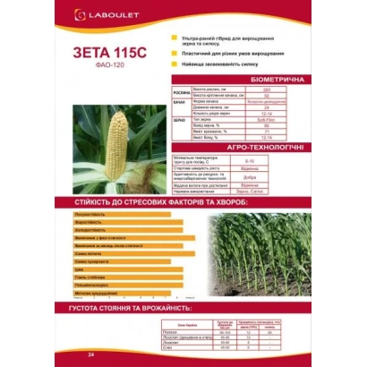 Пакет насіння кукурудзи ЗЕТА 115С з фото початка та пагонів