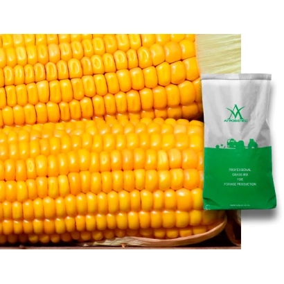 Колос кукурузы и пакет с семенами ЗПСК 366