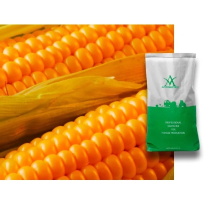 Пакет с семенами кукурузы на фоне колоса - ЗПСК 341