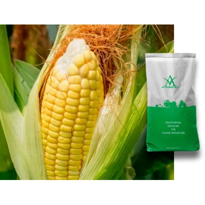Corn cob and packaging with logo - ZPK 360