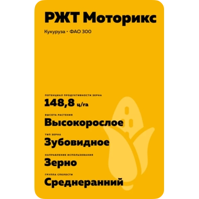 Пакет насіння кукурудзи РЖТ Моторикс - ЗПТК 111