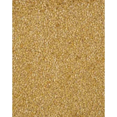 Кунжут - Солнечный