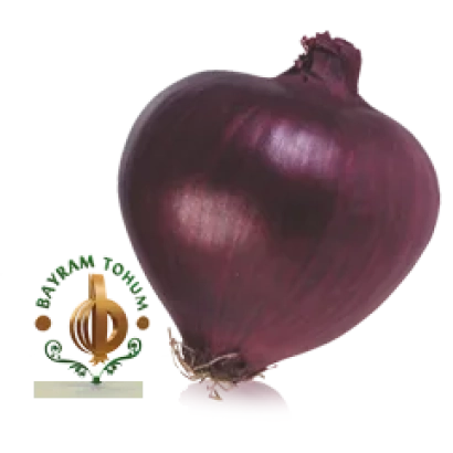 Красная луковица с логотипом Bayram Tohum - ЯКУТ