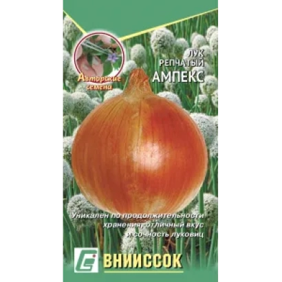 Пакет семян лука сорта АМПЕКС - АМПЭКС