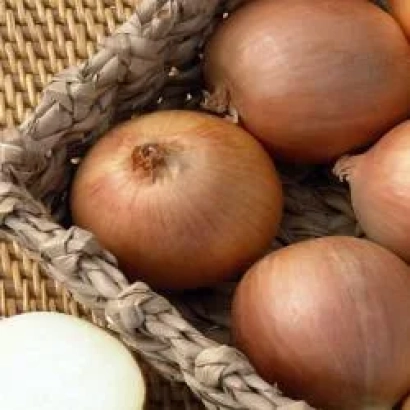 Луковицы лука в плетеной корзине - Антилопа F1