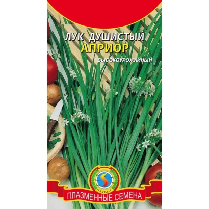 Seed packet of aromatic onion Aprior