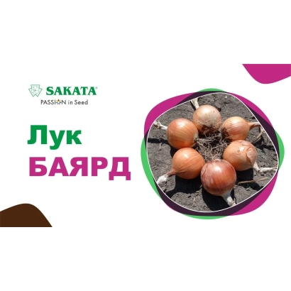 Семена лука сорта БаярД в упаковке с изображением головок