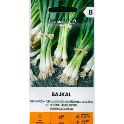 Семена лука сорта Байкал на фоне зелени