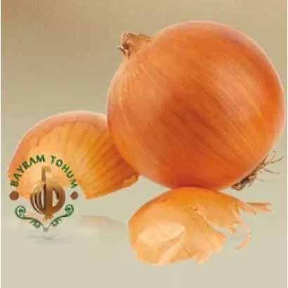 Свіжа цибуля сорту Bayram на світлому фоні з логотипом Bayram Tolu. - БАЙРАМ
