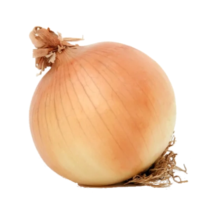 Свежий лук на белом фоне - Батыревский