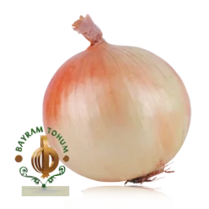 Лук с логотипом BAYRAM TOHUM - BAY ERSOY