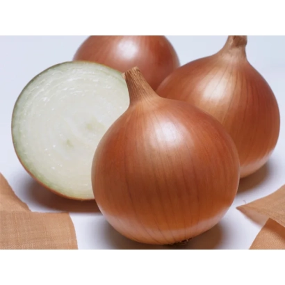 Свежий лук с нарезанным долькой на белом фоне - Бенефит