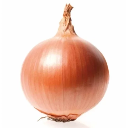 Красная луковица на белом фоне - БЕННИТО