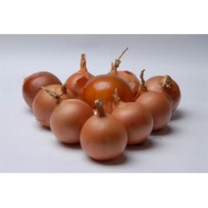 Группа луковиц лука на белом фоне - Берекет F1