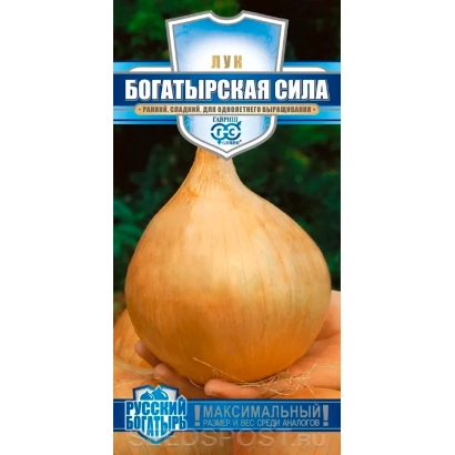 Семена лука сорта Богатырская сила на упаковке