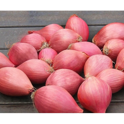 Red shallots on a wooden surface - CHELYABINSK