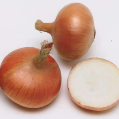 Свежий лук на белом фоне, один разрезан пополам - ЦЕПАРИУС