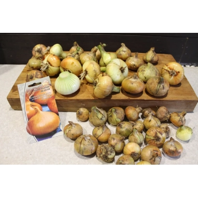 Свежий лук на деревянной доске с пакетом семян Дедуля