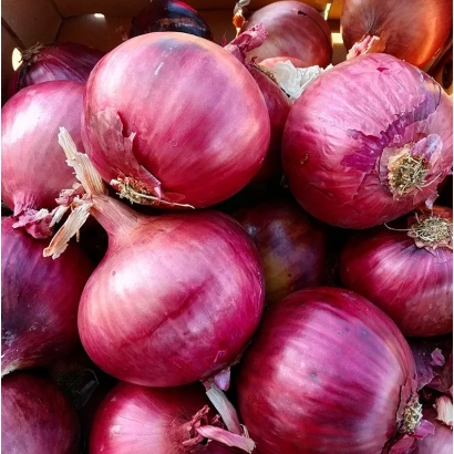 Red onions Divina