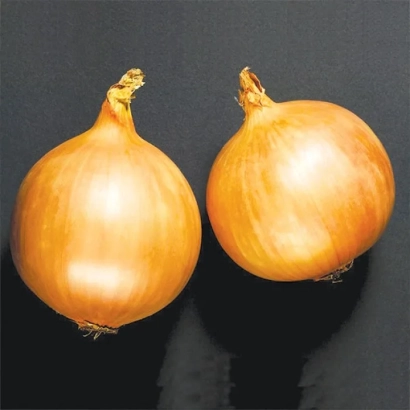 Two whole yellow onions on a dark background - Dormo