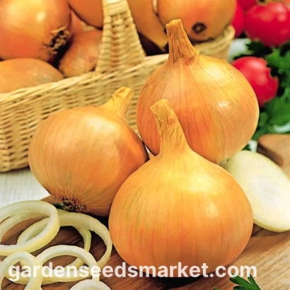 Баннер с луком и кольцами на фоне сайта gardensseedsmarket.com - Ефект