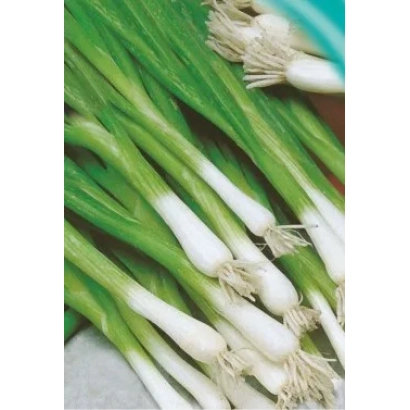 Свежий лук на зелёной подложке - ЭЛЬВИ