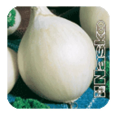 Семенной пакет лука ЭМИР