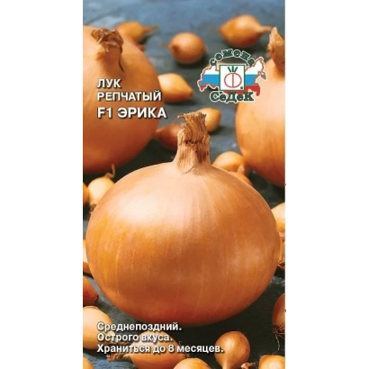 Onion seed variety EURIKA