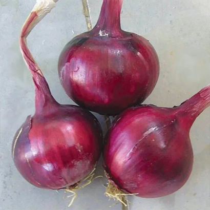 Три красных лука Фабула на светлом фоне