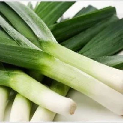 Fresh leek on white background - Forrest