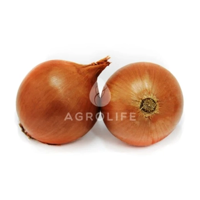 Два цілі цибулини на білому фоні з логотипом AGROLIFE - Форум