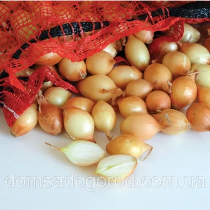 Свежий лук на белом фоне с красной сеткой - Форум F1