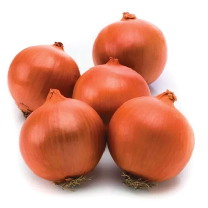 Червоні цибулинки на білому фоні - Фундадор