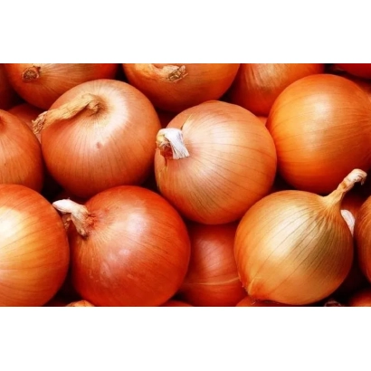 Крупный план красных луковиц без упаковки или маркировки - ГАНТАН