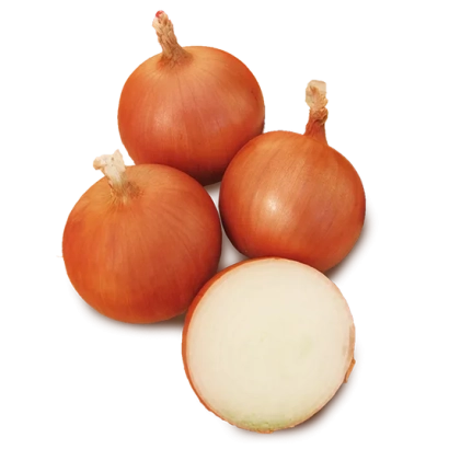 Свежие луковицы сорта ГАРБЕО | GARBEIO