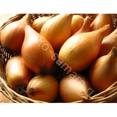 Корзина с луком Helios - Гелиос