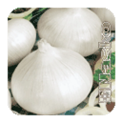 Белый лук Гирей на зеленой упаковке