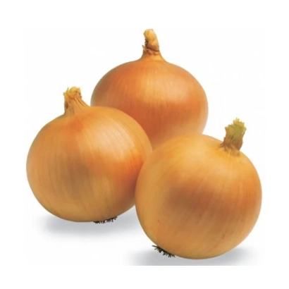 Три цибуліни сорту Голден Спайк на білому фоні