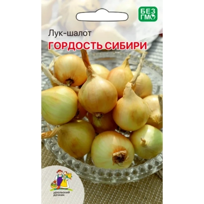 Пакет семян лука-шалота Гордость Сибири - ГОРДОСТЬ УРАЛА