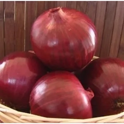 Червоні цибулини в кошику - Вдячний Червоний F1