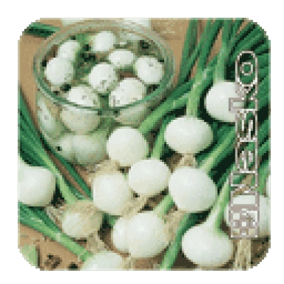 Стеклянная банка с луком Гусар и зеленым луком