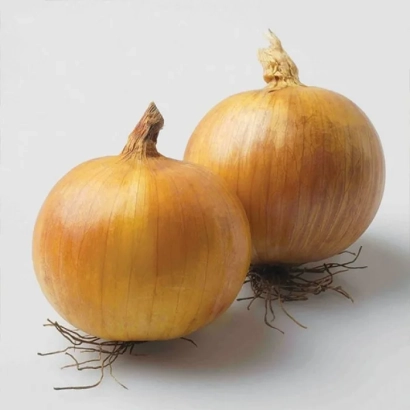 Два жовті цибулі на білому фоні - Ібіс